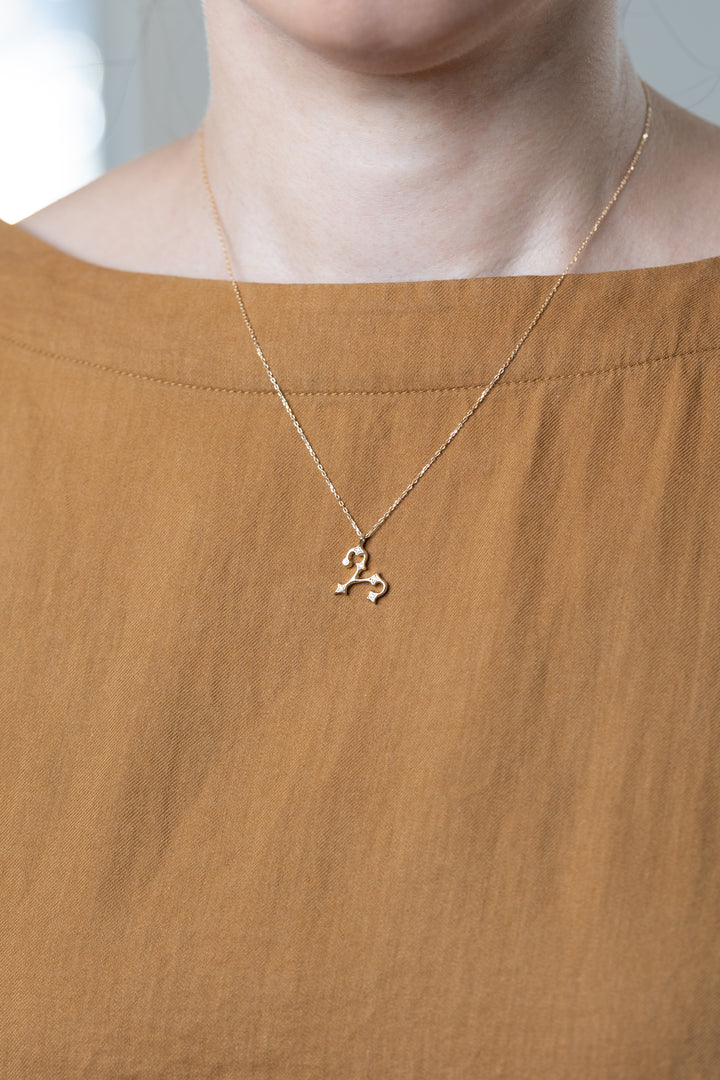 A gold Aries necklace that matches brown clothes.