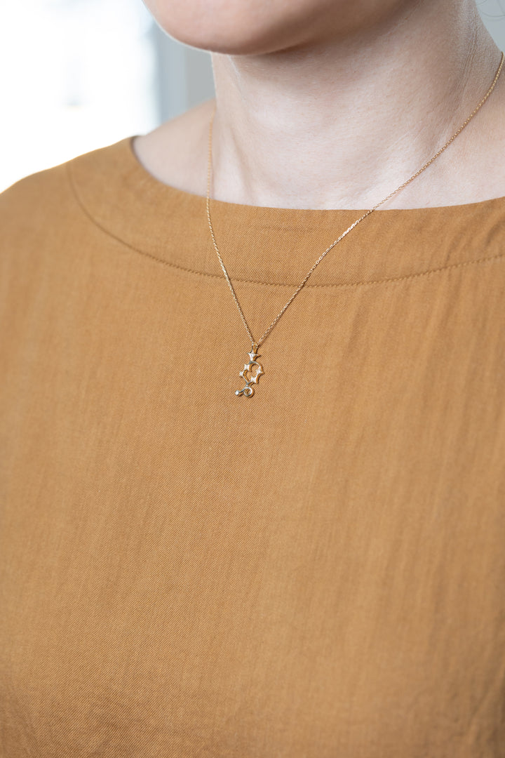 A gold Capricorn necklace that matches brown clothes.