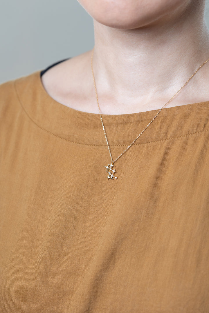 A gold Aquarius necklace that matches brown clothes.